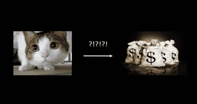 Cat money
