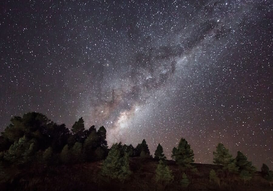 Starry nigh over trees